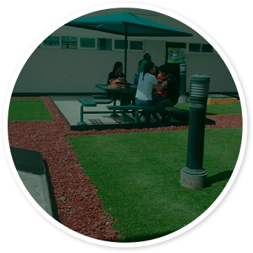 Outdoor Gardens